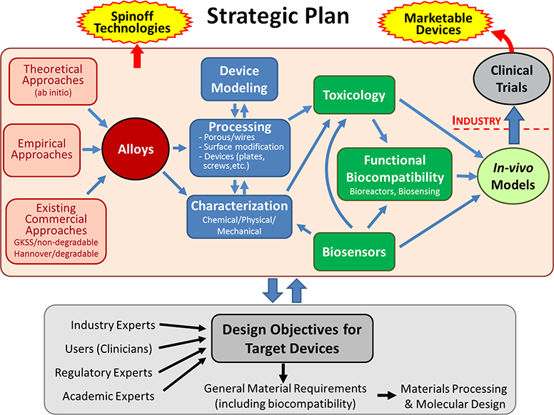 Management information systems essay